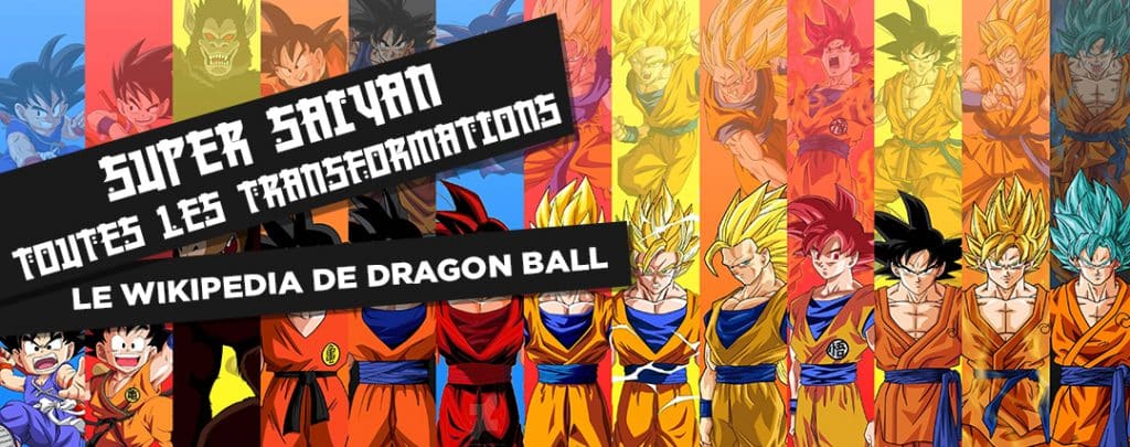 Dragon Ball Z - Saiyan Goku, Dragon Ball Bas de survêtement